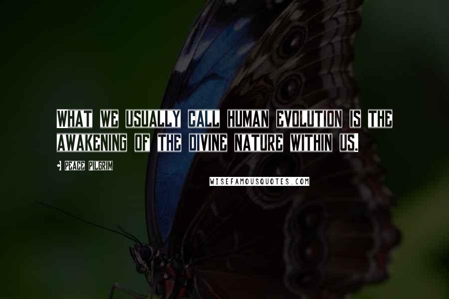 Peace Pilgrim Quotes: What we usually call human evolution is the awakening of the divine nature within us.