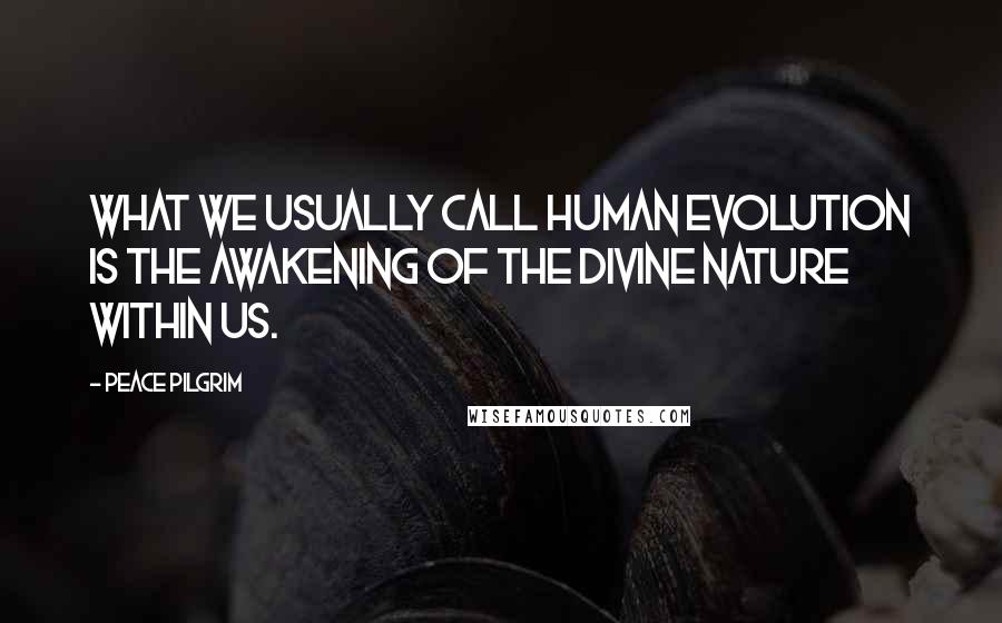 Peace Pilgrim Quotes: What we usually call human evolution is the awakening of the divine nature within us.