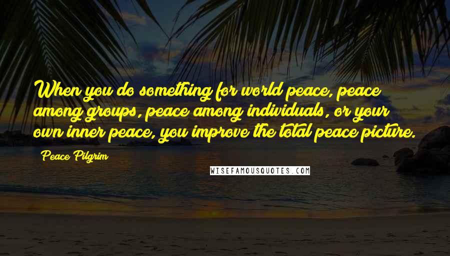 Peace Pilgrim Quotes: When you do something for world peace, peace among groups, peace among individuals, or your own inner peace, you improve the total peace picture.