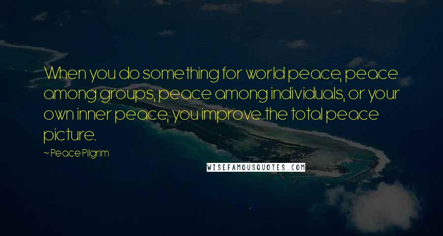 Peace Pilgrim Quotes: When you do something for world peace, peace among groups, peace among individuals, or your own inner peace, you improve the total peace picture.