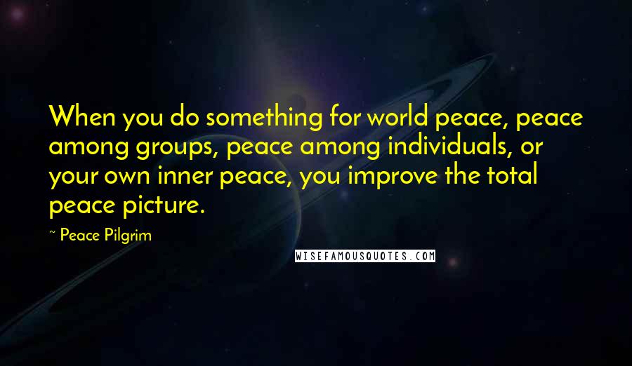 Peace Pilgrim Quotes: When you do something for world peace, peace among groups, peace among individuals, or your own inner peace, you improve the total peace picture.