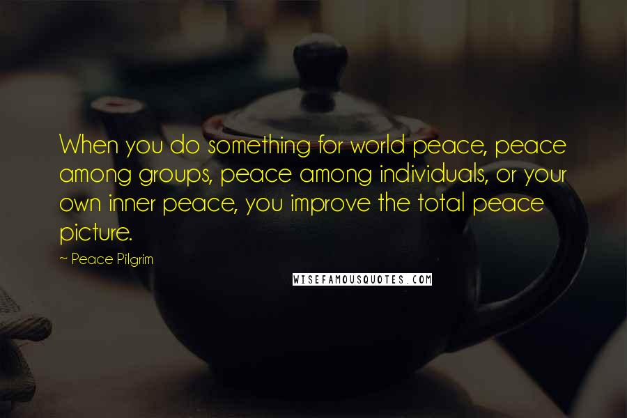 Peace Pilgrim Quotes: When you do something for world peace, peace among groups, peace among individuals, or your own inner peace, you improve the total peace picture.