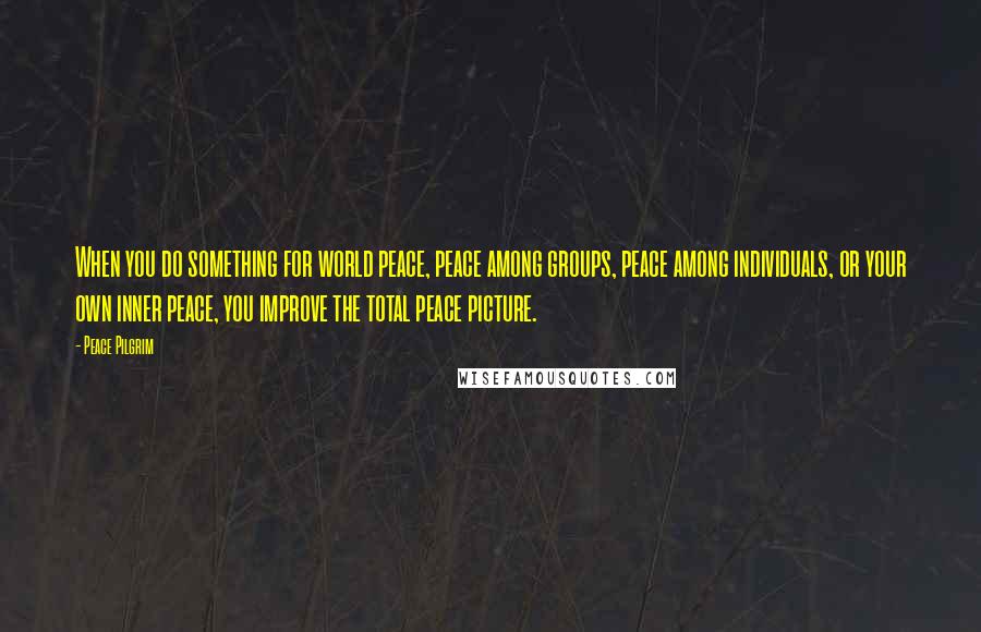 Peace Pilgrim Quotes: When you do something for world peace, peace among groups, peace among individuals, or your own inner peace, you improve the total peace picture.