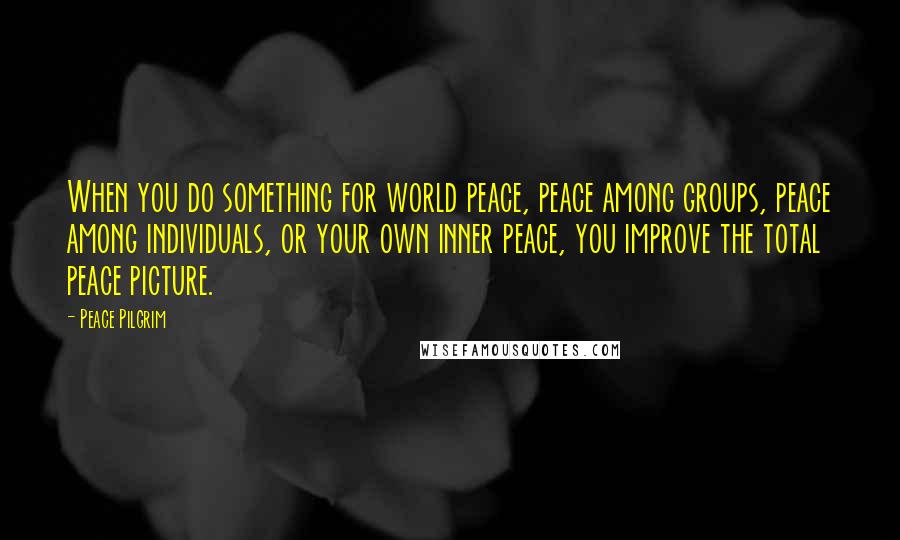 Peace Pilgrim Quotes: When you do something for world peace, peace among groups, peace among individuals, or your own inner peace, you improve the total peace picture.