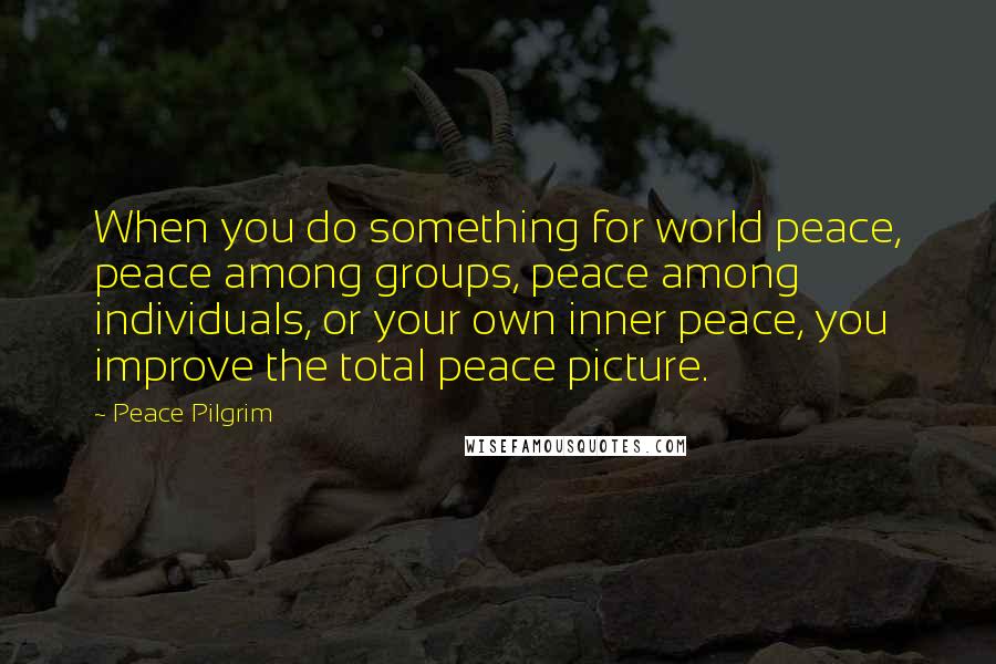 Peace Pilgrim Quotes: When you do something for world peace, peace among groups, peace among individuals, or your own inner peace, you improve the total peace picture.