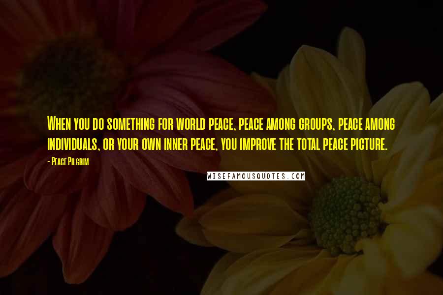 Peace Pilgrim Quotes: When you do something for world peace, peace among groups, peace among individuals, or your own inner peace, you improve the total peace picture.