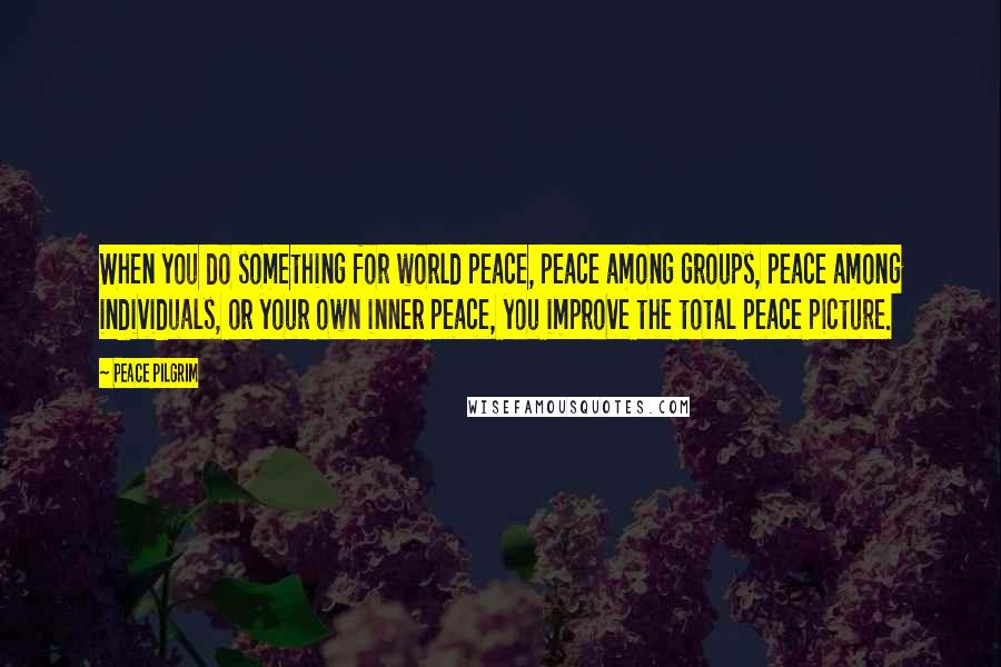 Peace Pilgrim Quotes: When you do something for world peace, peace among groups, peace among individuals, or your own inner peace, you improve the total peace picture.