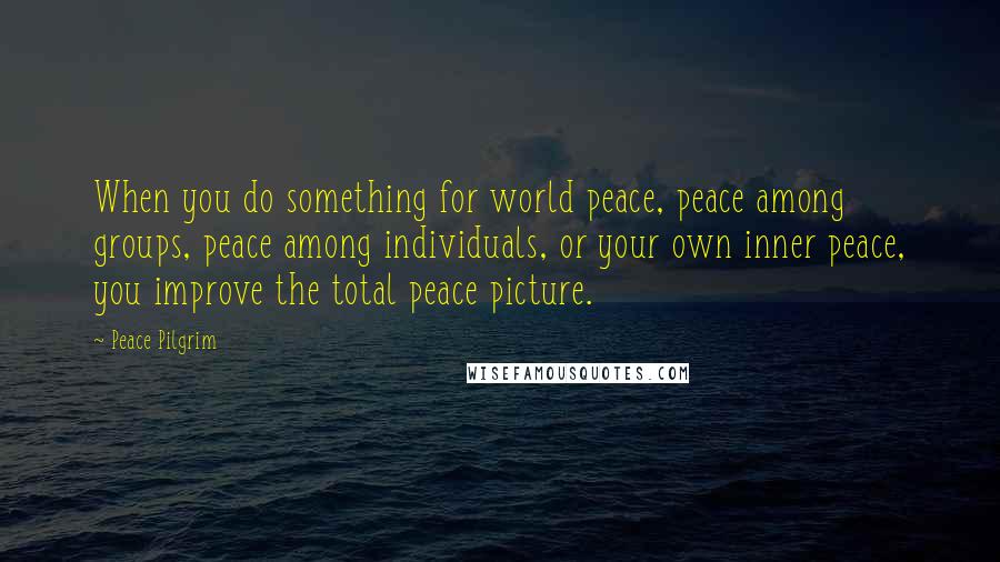 Peace Pilgrim Quotes: When you do something for world peace, peace among groups, peace among individuals, or your own inner peace, you improve the total peace picture.