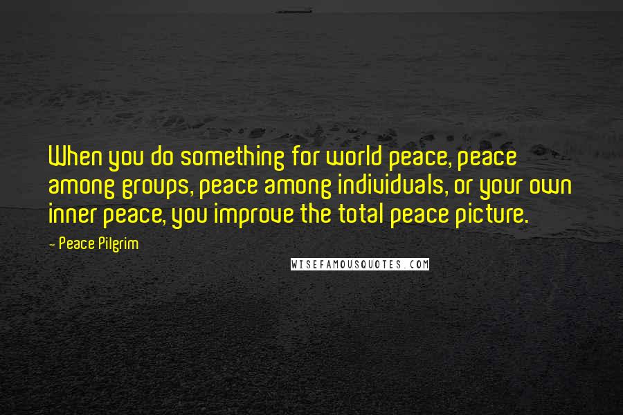 Peace Pilgrim Quotes: When you do something for world peace, peace among groups, peace among individuals, or your own inner peace, you improve the total peace picture.