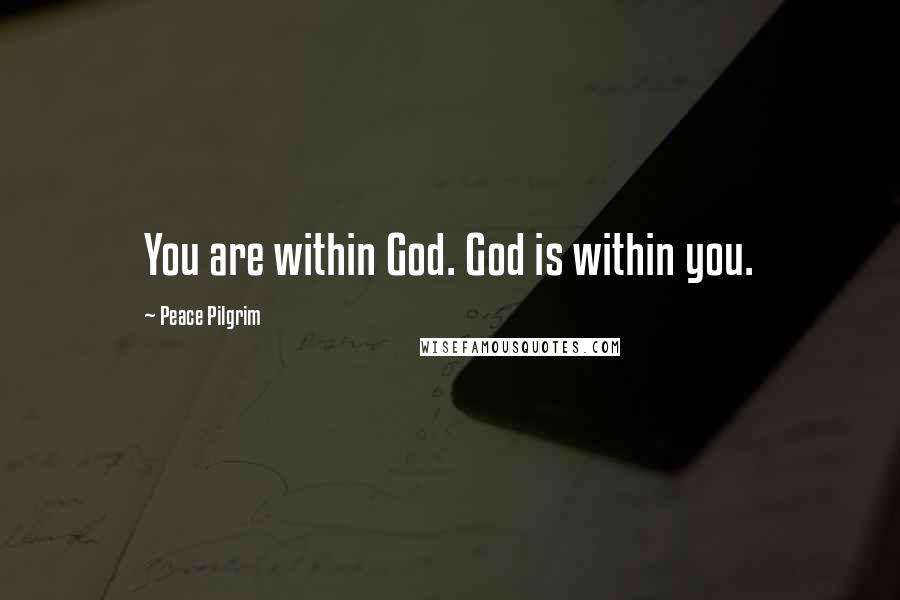 Peace Pilgrim Quotes: You are within God. God is within you.