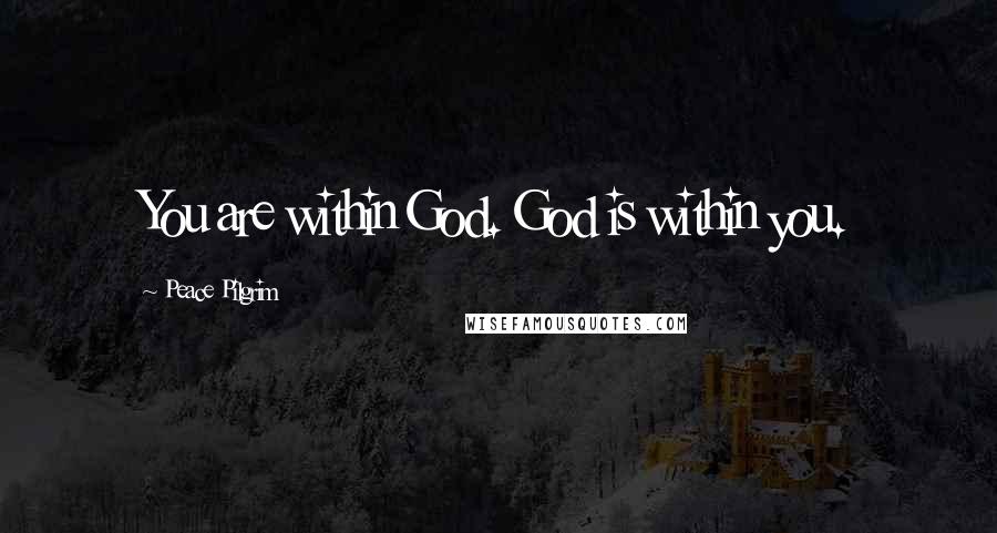 Peace Pilgrim Quotes: You are within God. God is within you.