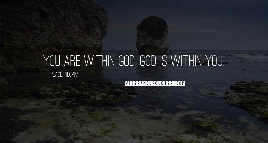 Peace Pilgrim Quotes: You are within God. God is within you.