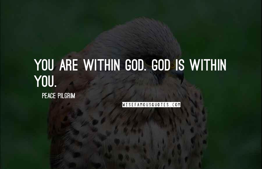 Peace Pilgrim Quotes: You are within God. God is within you.