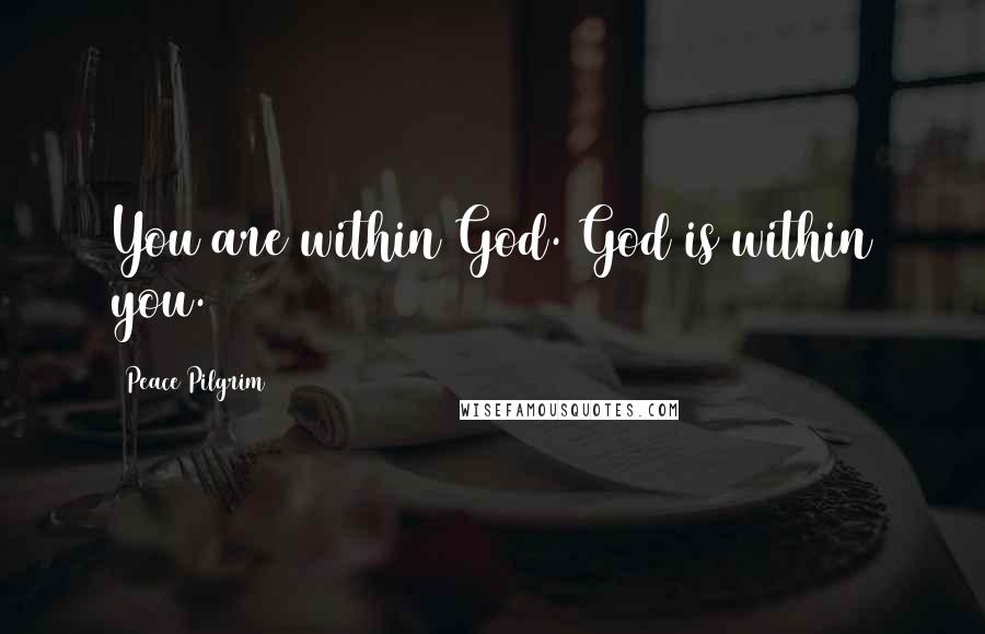 Peace Pilgrim Quotes: You are within God. God is within you.