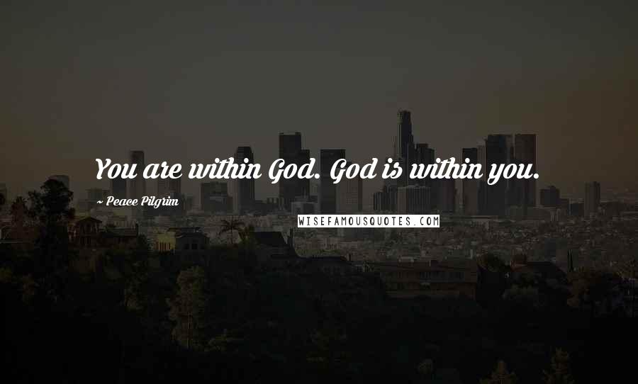 Peace Pilgrim Quotes: You are within God. God is within you.