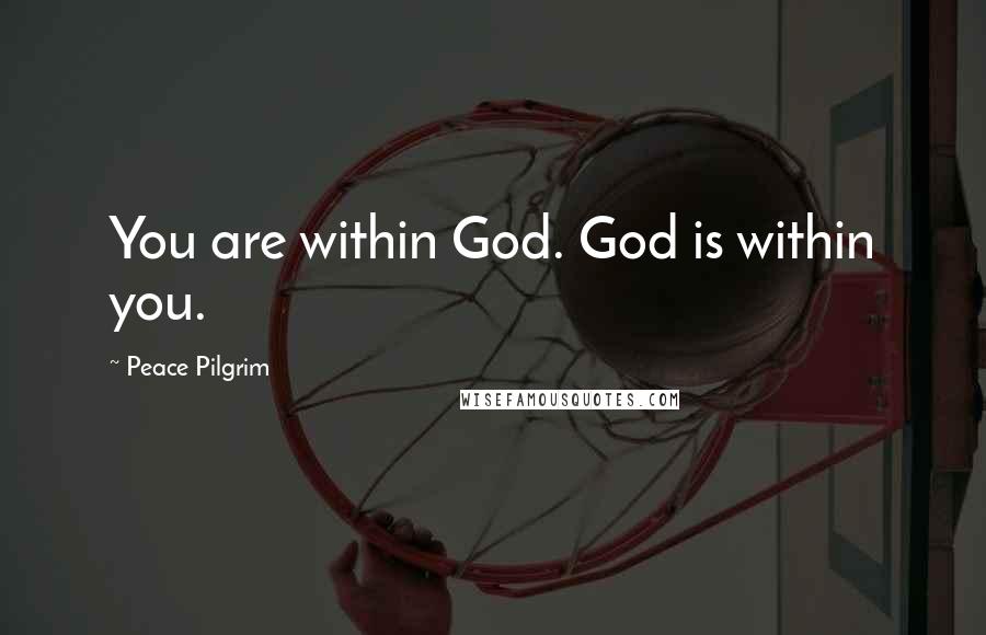 Peace Pilgrim Quotes: You are within God. God is within you.