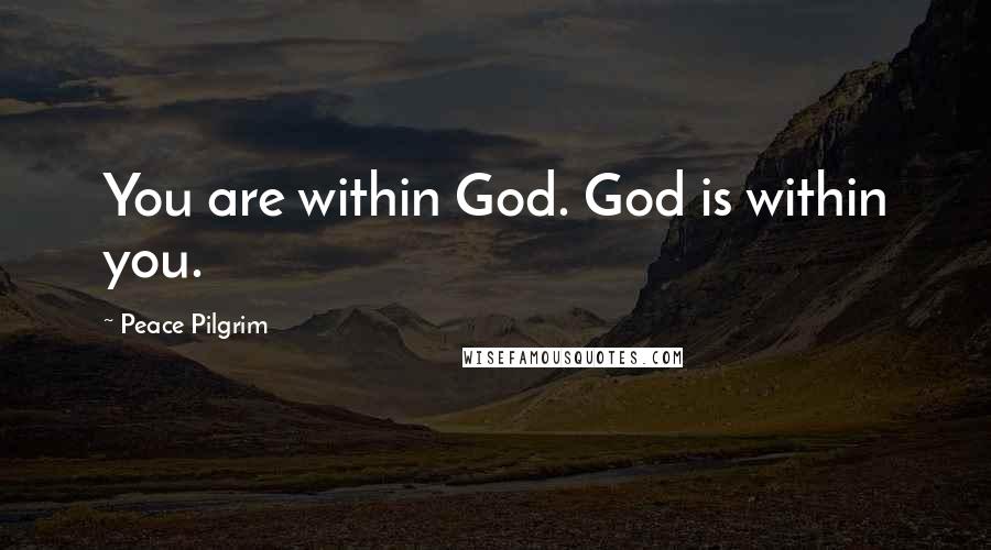 Peace Pilgrim Quotes: You are within God. God is within you.