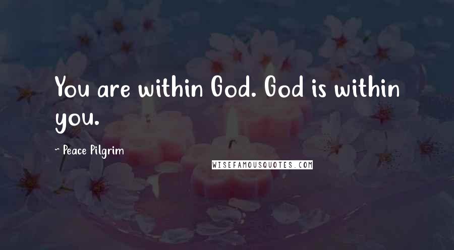 Peace Pilgrim Quotes: You are within God. God is within you.
