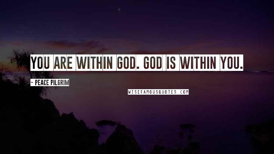 Peace Pilgrim Quotes: You are within God. God is within you.