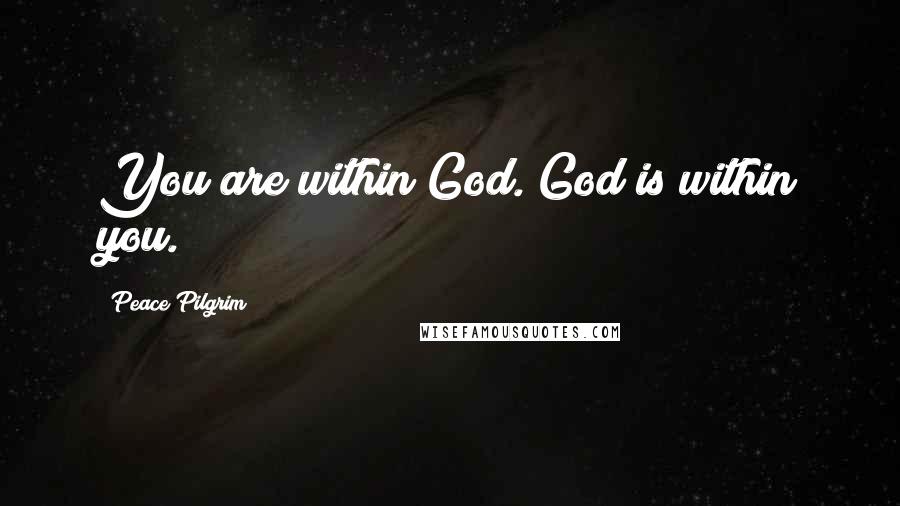 Peace Pilgrim Quotes: You are within God. God is within you.