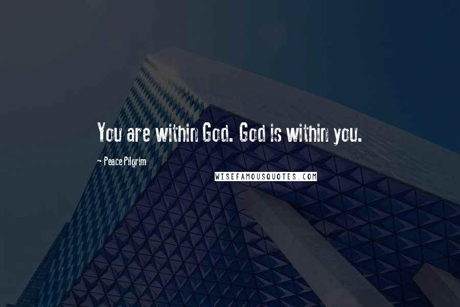 Peace Pilgrim Quotes: You are within God. God is within you.