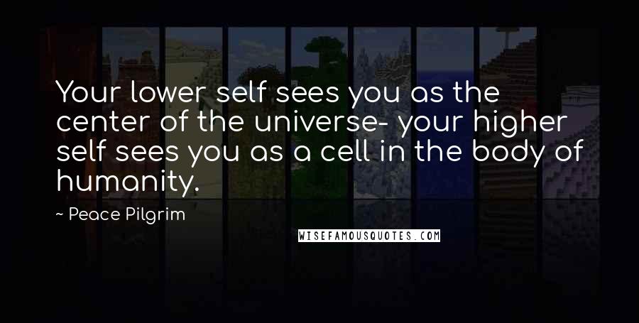 Peace Pilgrim Quotes: Your lower self sees you as the center of the universe- your higher self sees you as a cell in the body of humanity.