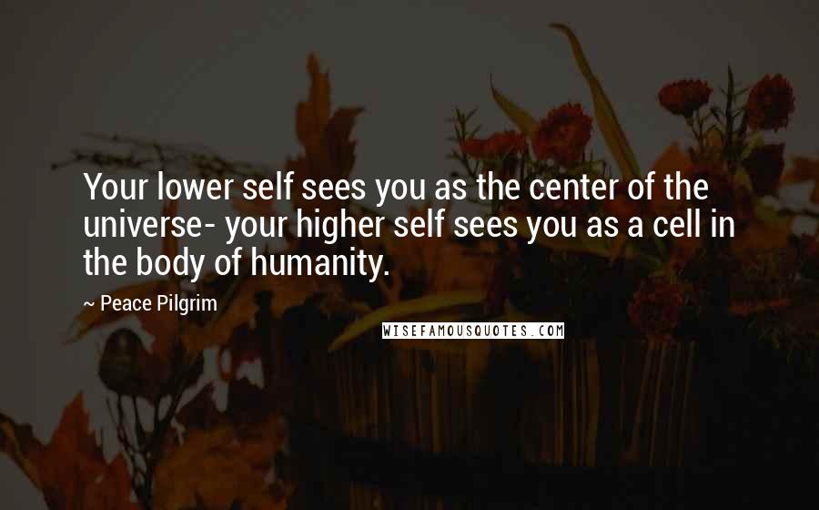 Peace Pilgrim Quotes: Your lower self sees you as the center of the universe- your higher self sees you as a cell in the body of humanity.