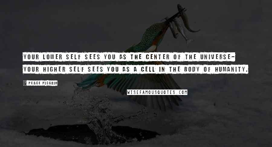 Peace Pilgrim Quotes: Your lower self sees you as the center of the universe- your higher self sees you as a cell in the body of humanity.