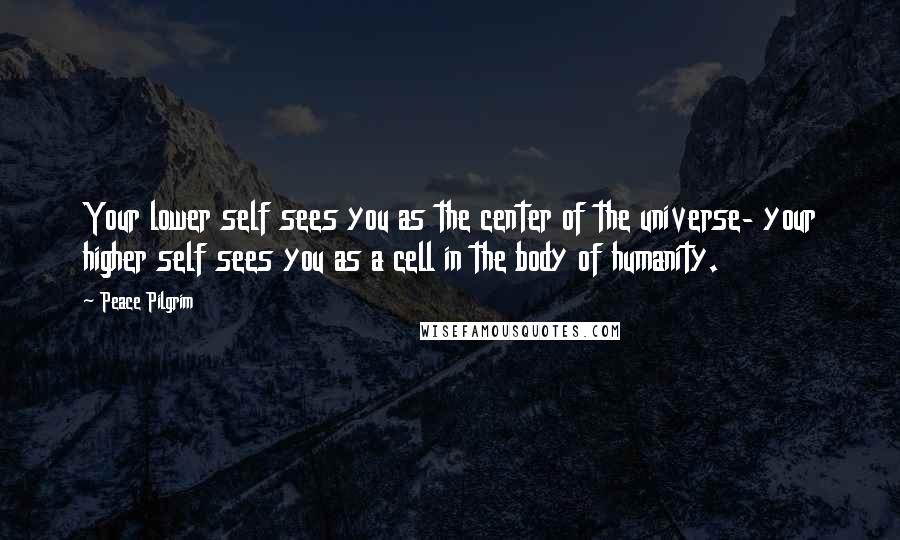 Peace Pilgrim Quotes: Your lower self sees you as the center of the universe- your higher self sees you as a cell in the body of humanity.