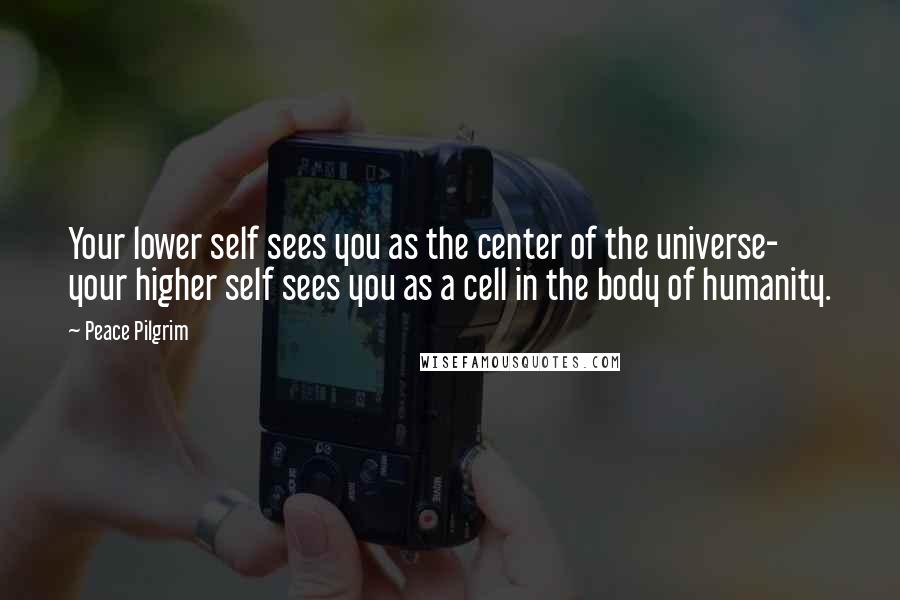 Peace Pilgrim Quotes: Your lower self sees you as the center of the universe- your higher self sees you as a cell in the body of humanity.