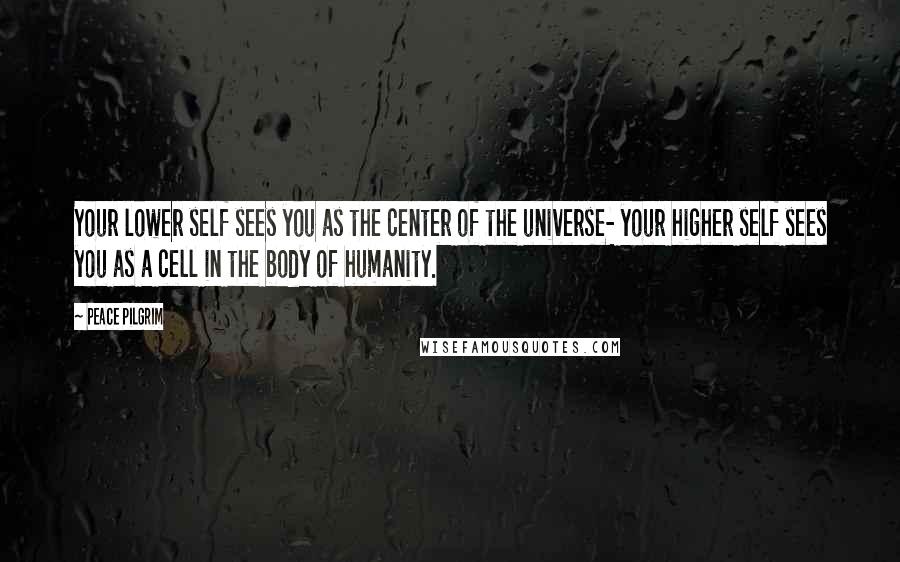 Peace Pilgrim Quotes: Your lower self sees you as the center of the universe- your higher self sees you as a cell in the body of humanity.