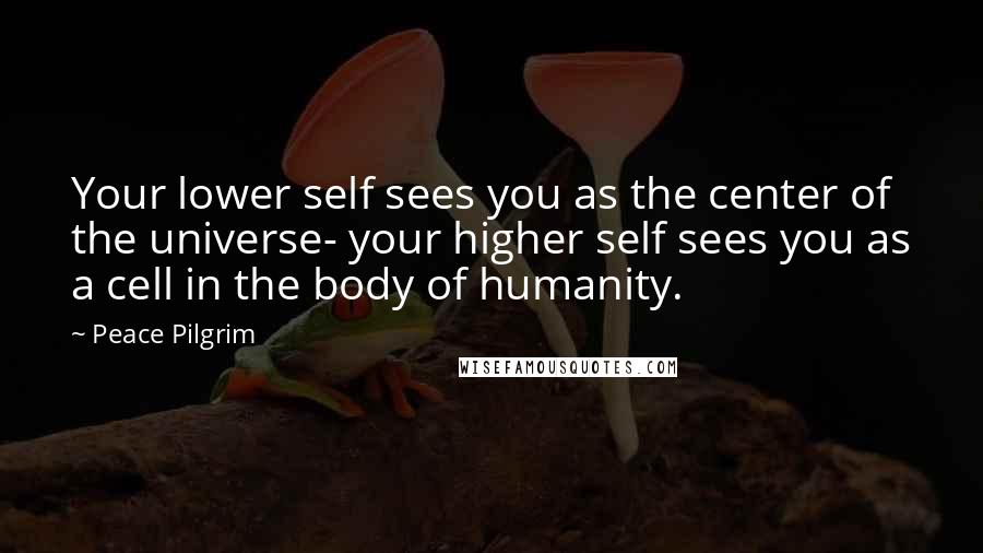 Peace Pilgrim Quotes: Your lower self sees you as the center of the universe- your higher self sees you as a cell in the body of humanity.