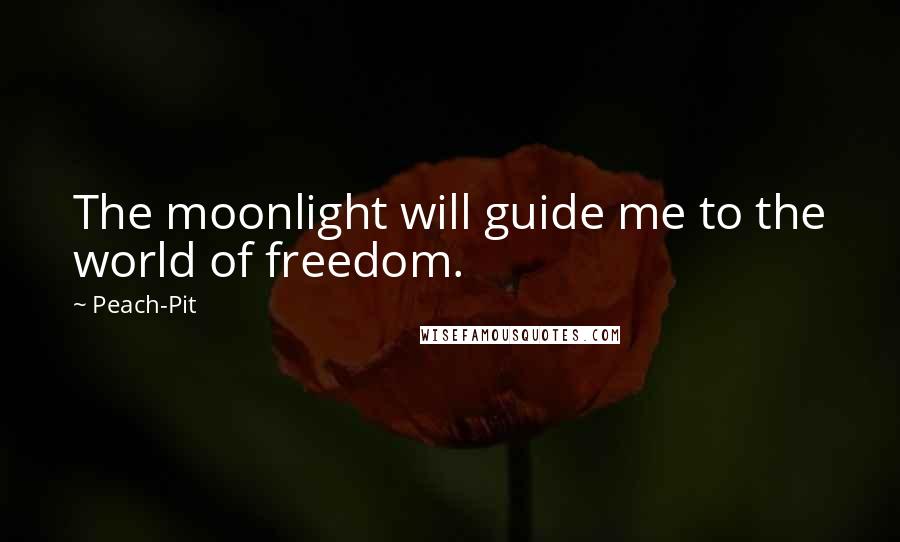 Peach-Pit Quotes: The moonlight will guide me to the world of freedom.