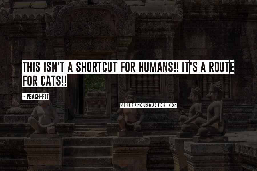 Peach-Pit Quotes: This isn't a shortcut for humans!! It's a route for cats!!