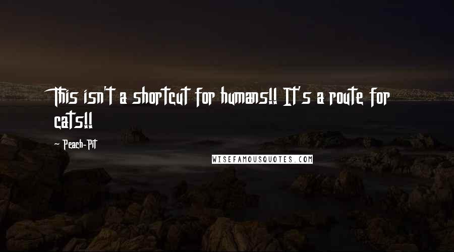 Peach-Pit Quotes: This isn't a shortcut for humans!! It's a route for cats!!