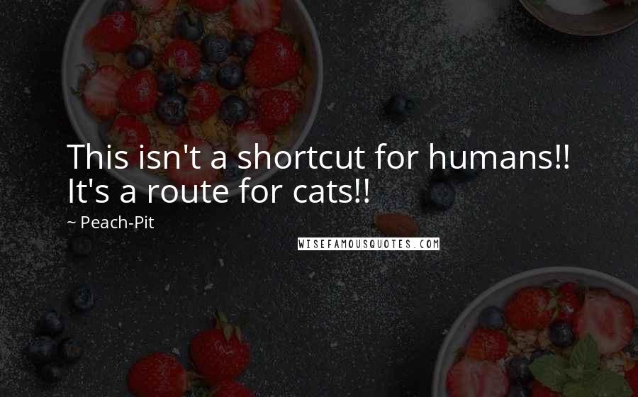 Peach-Pit Quotes: This isn't a shortcut for humans!! It's a route for cats!!