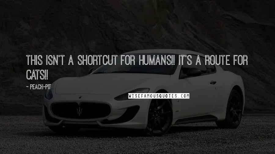 Peach-Pit Quotes: This isn't a shortcut for humans!! It's a route for cats!!