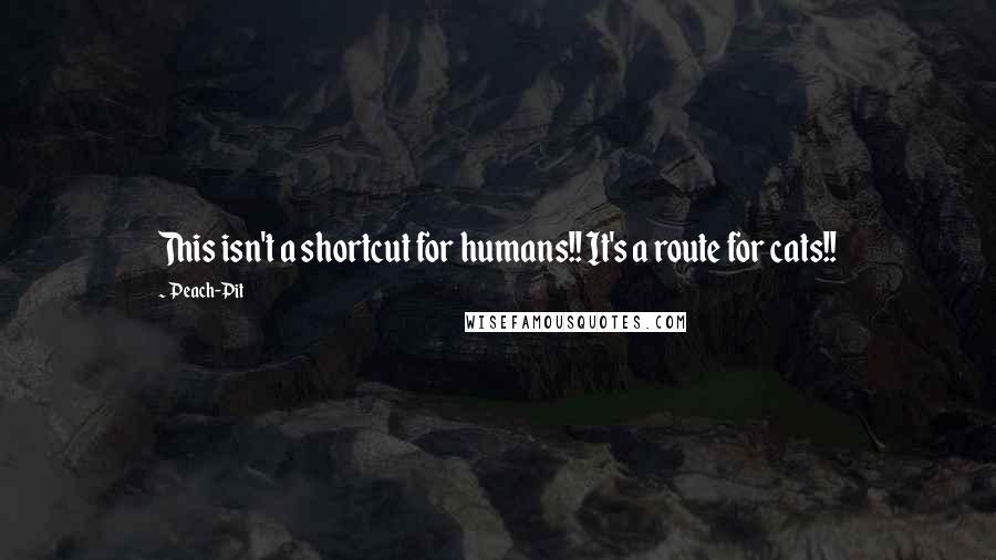 Peach-Pit Quotes: This isn't a shortcut for humans!! It's a route for cats!!