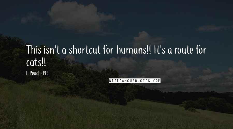 Peach-Pit Quotes: This isn't a shortcut for humans!! It's a route for cats!!