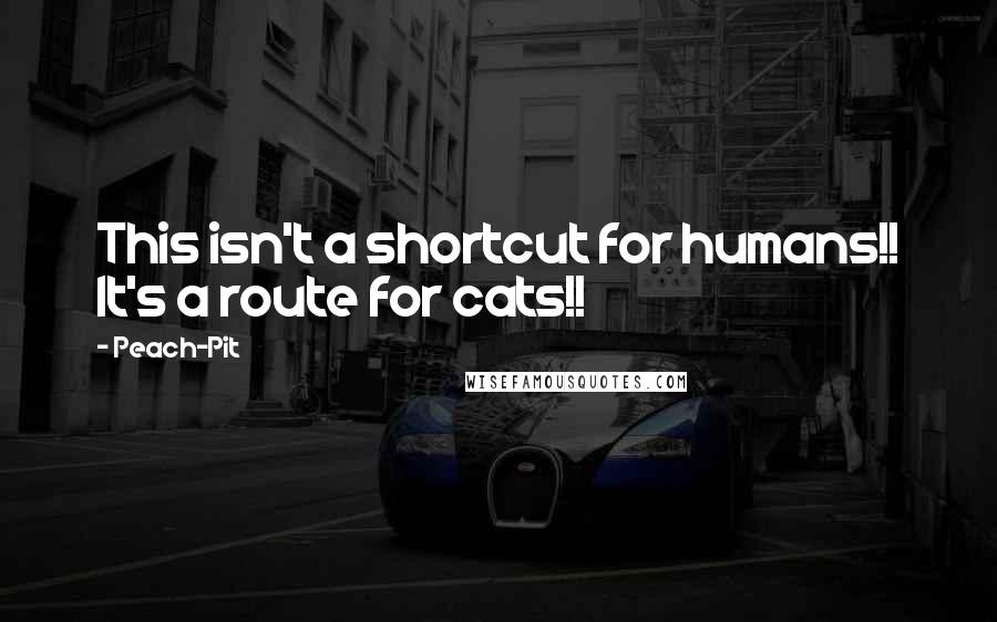 Peach-Pit Quotes: This isn't a shortcut for humans!! It's a route for cats!!