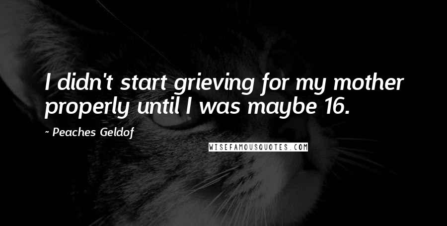 Peaches Geldof Quotes: I didn't start grieving for my mother properly until I was maybe 16.