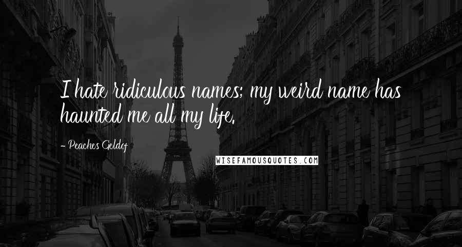 Peaches Geldof Quotes: I hate ridiculous names; my weird name has haunted me all my life.