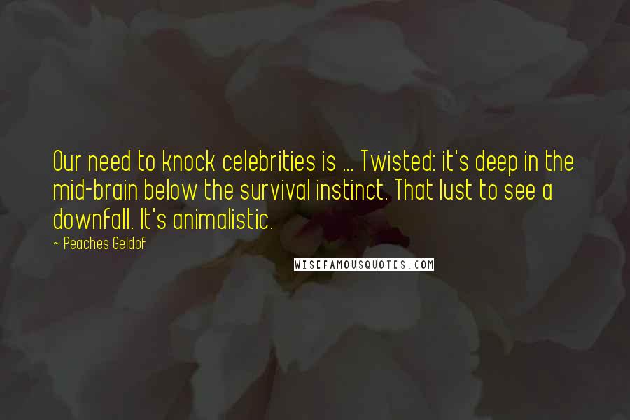 Peaches Geldof Quotes: Our need to knock celebrities is ... Twisted: it's deep in the mid-brain below the survival instinct. That lust to see a downfall. It's animalistic.