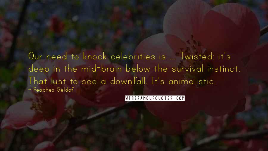 Peaches Geldof Quotes: Our need to knock celebrities is ... Twisted: it's deep in the mid-brain below the survival instinct. That lust to see a downfall. It's animalistic.