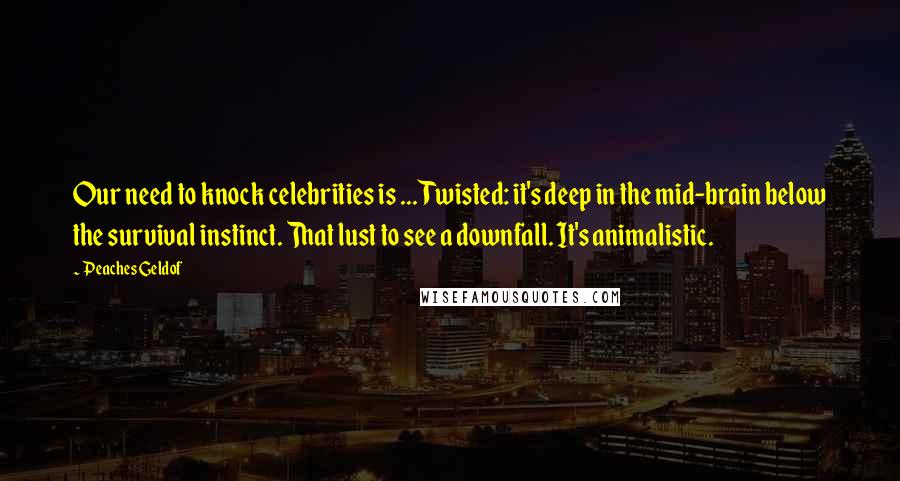 Peaches Geldof Quotes: Our need to knock celebrities is ... Twisted: it's deep in the mid-brain below the survival instinct. That lust to see a downfall. It's animalistic.