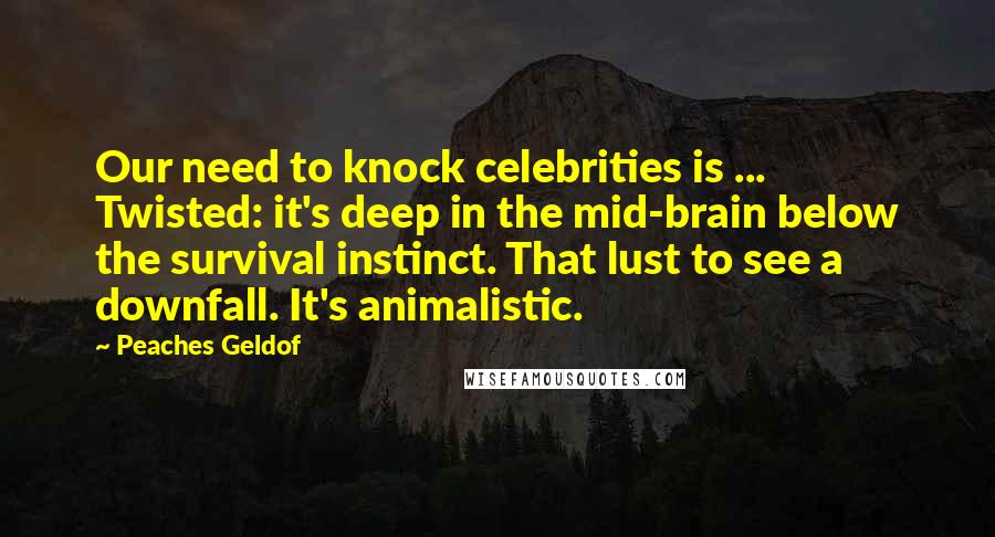 Peaches Geldof Quotes: Our need to knock celebrities is ... Twisted: it's deep in the mid-brain below the survival instinct. That lust to see a downfall. It's animalistic.