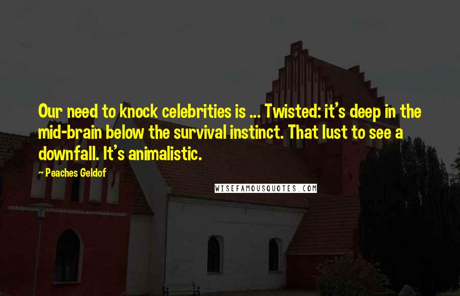 Peaches Geldof Quotes: Our need to knock celebrities is ... Twisted: it's deep in the mid-brain below the survival instinct. That lust to see a downfall. It's animalistic.
