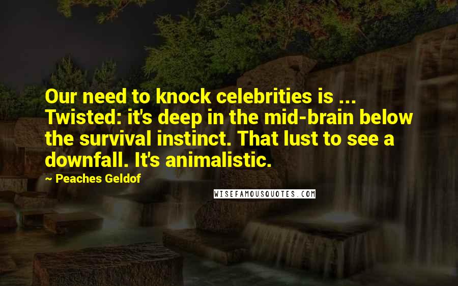 Peaches Geldof Quotes: Our need to knock celebrities is ... Twisted: it's deep in the mid-brain below the survival instinct. That lust to see a downfall. It's animalistic.