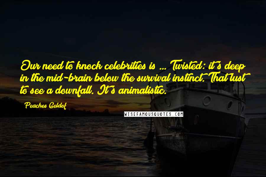 Peaches Geldof Quotes: Our need to knock celebrities is ... Twisted: it's deep in the mid-brain below the survival instinct. That lust to see a downfall. It's animalistic.