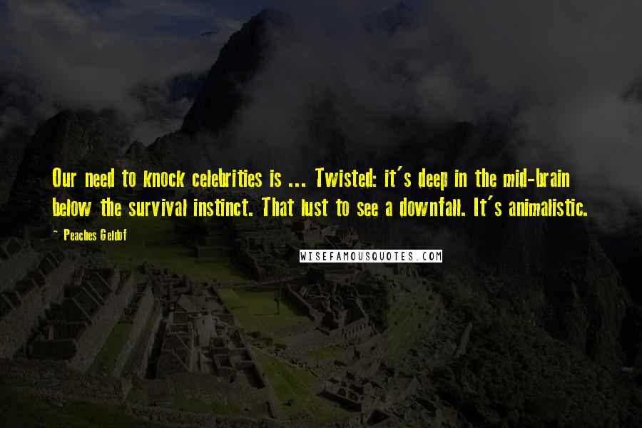 Peaches Geldof Quotes: Our need to knock celebrities is ... Twisted: it's deep in the mid-brain below the survival instinct. That lust to see a downfall. It's animalistic.